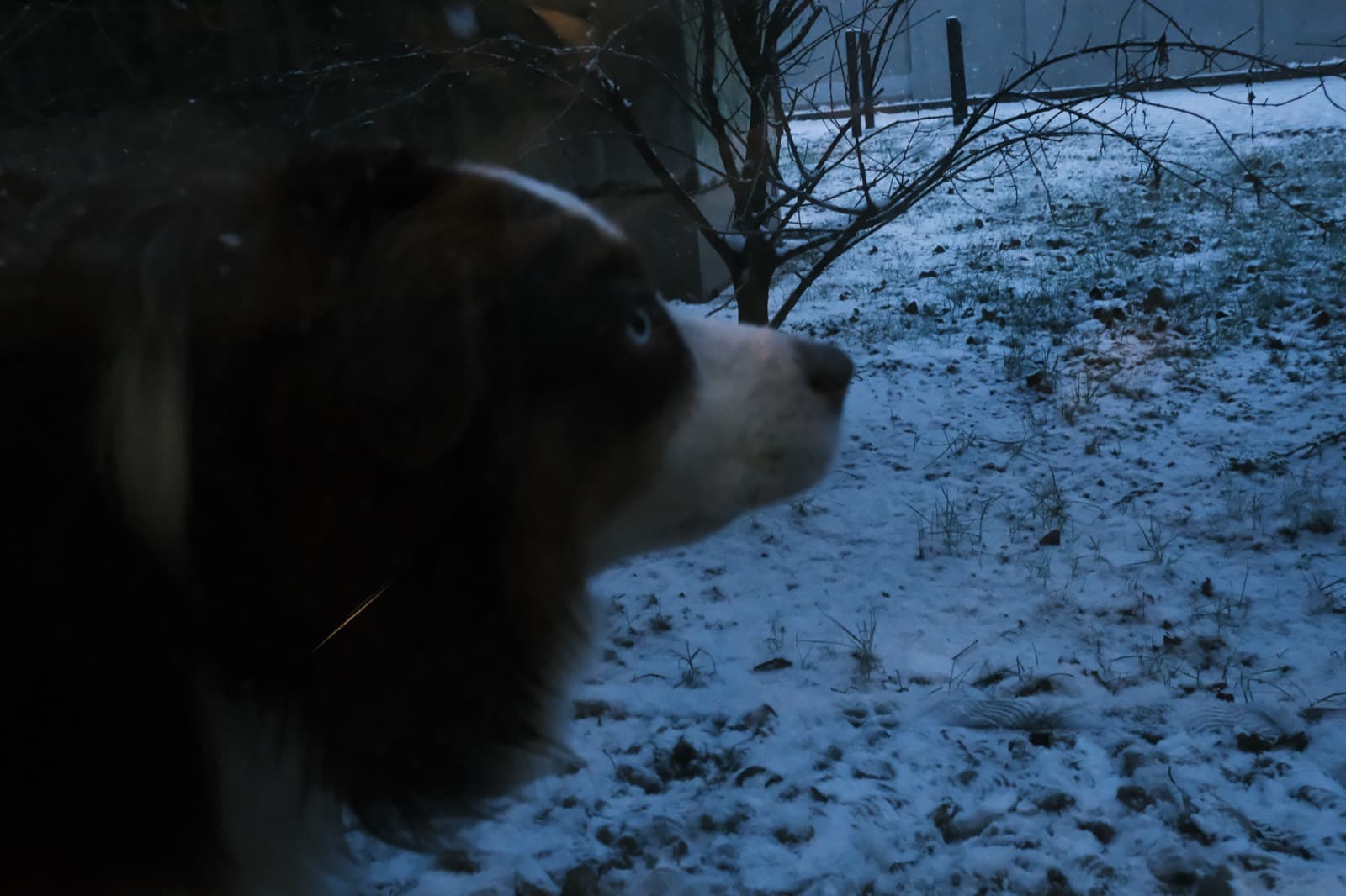 25-26 Winter, photo 5