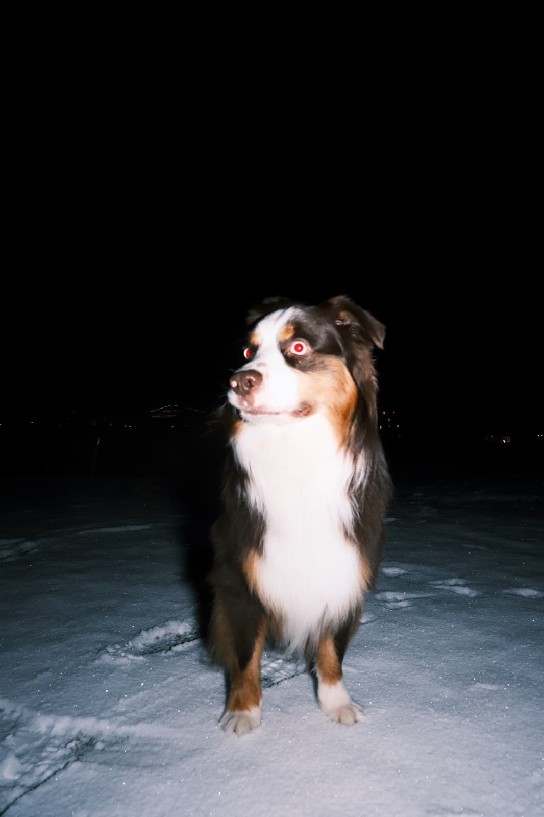 25-26 Winter, photo 7