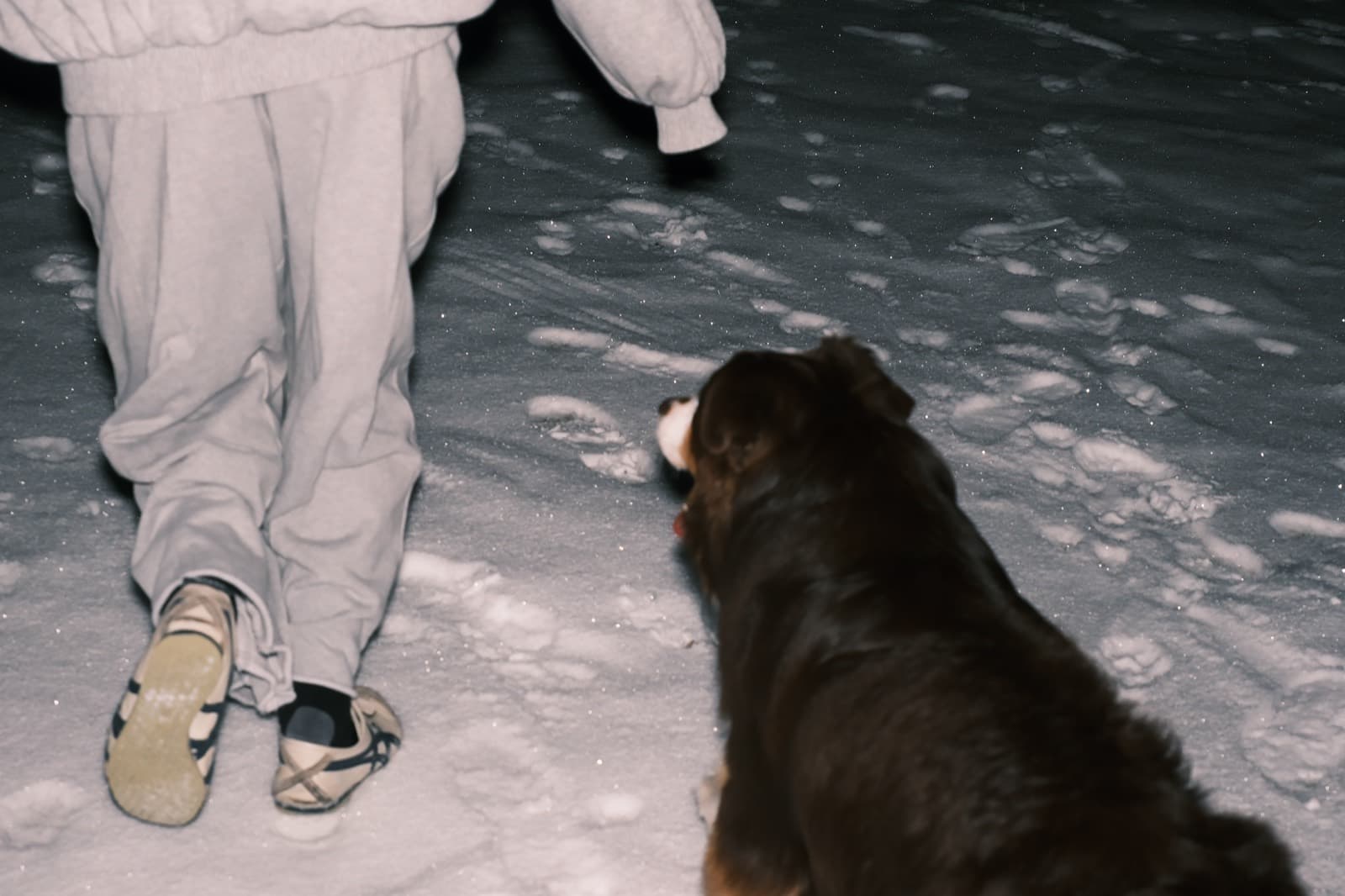 25-26 Winter, photo 8