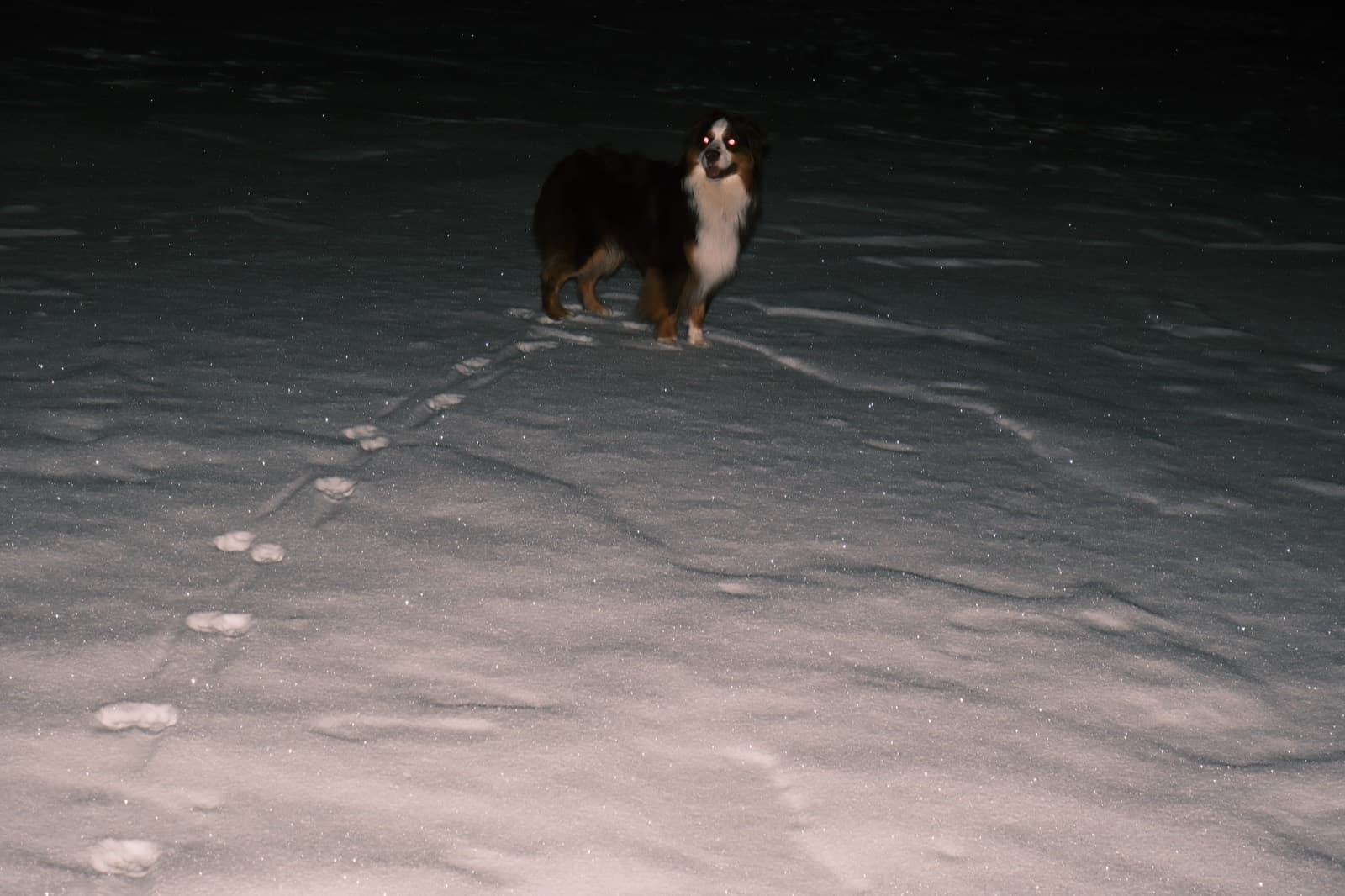 25-26 Winter, photo 9