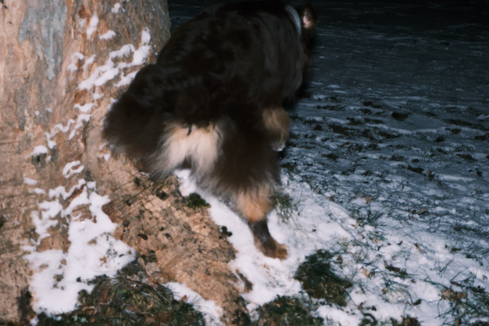 25-26 Winter, photo 10
