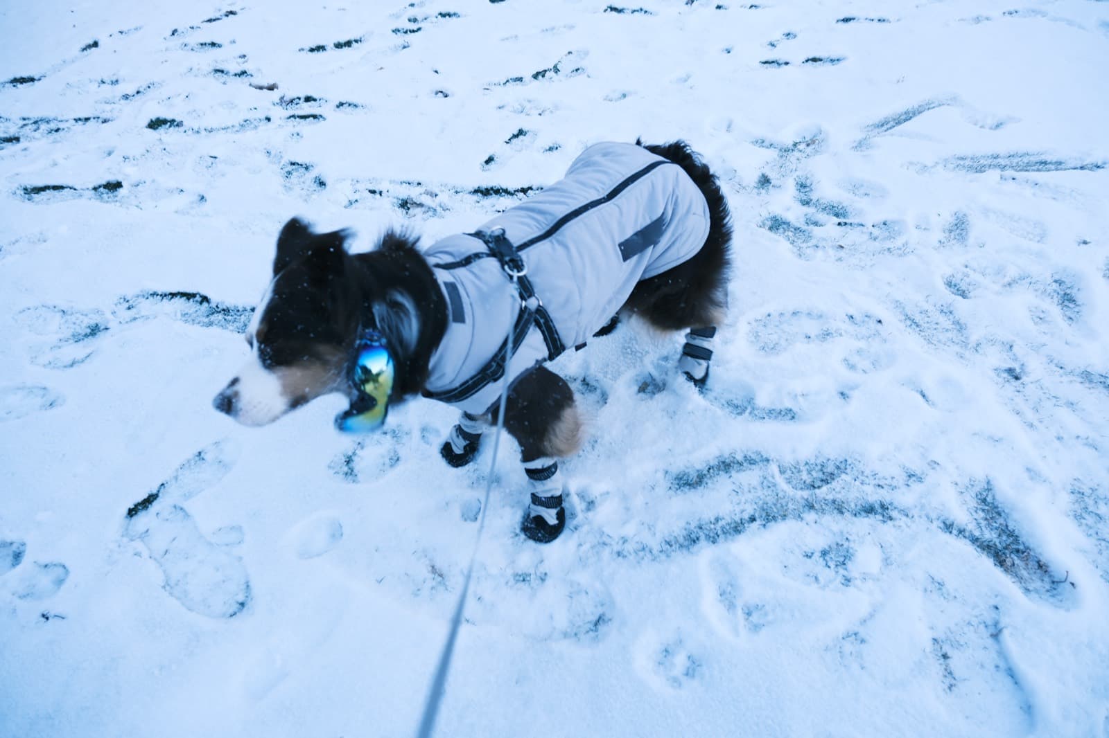 25-26 Winter, photo 11