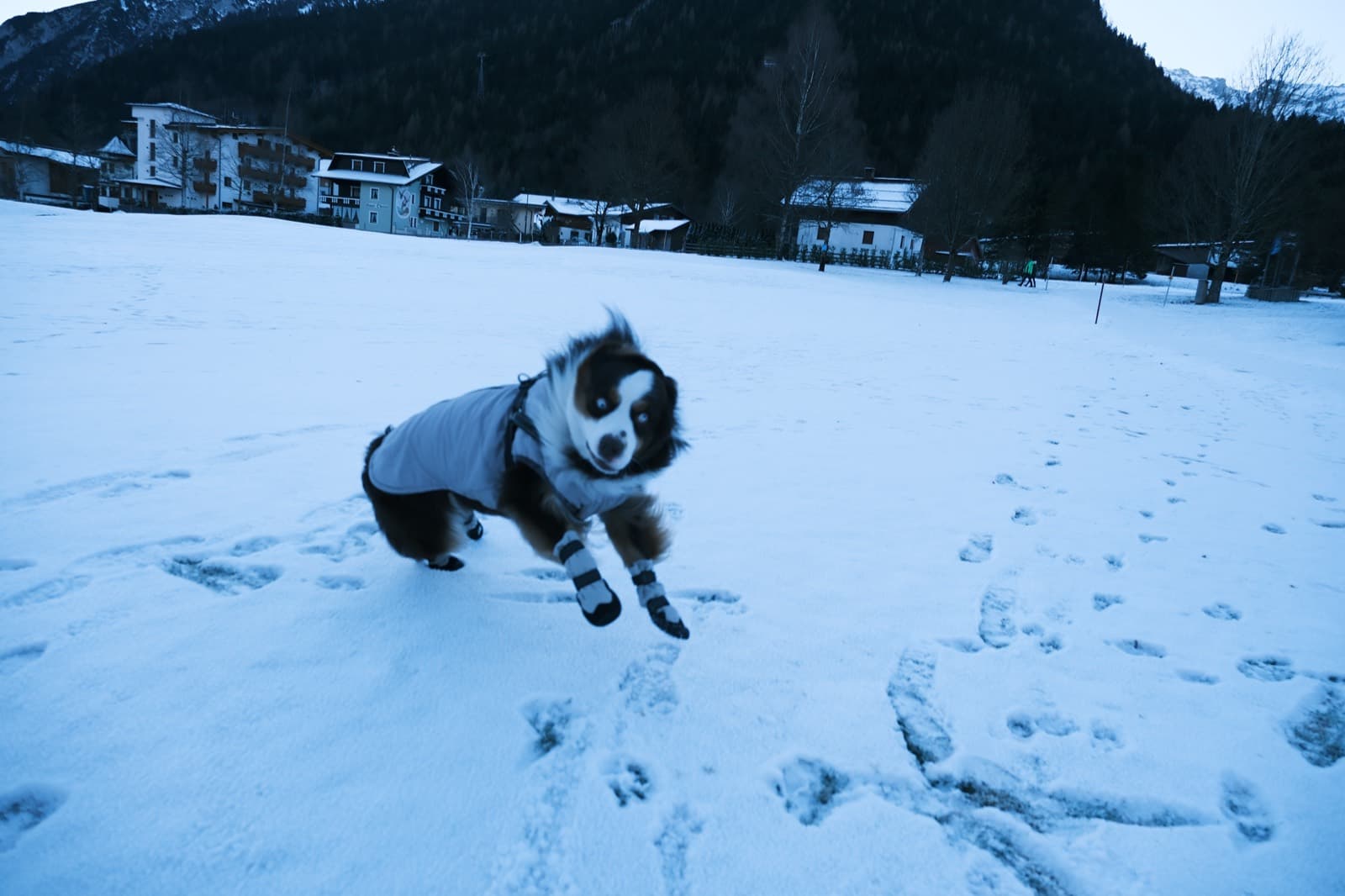 25-26 Winter, photo 12