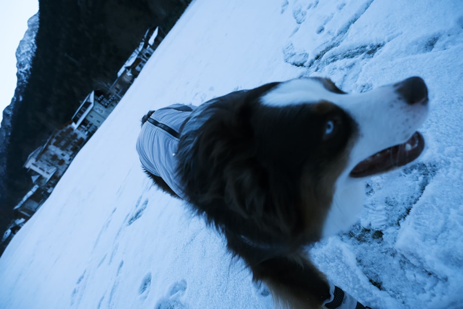 25-26 Winter, photo 13