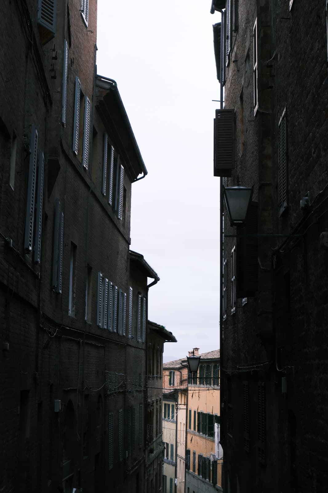 25-26 Winter, photo 24